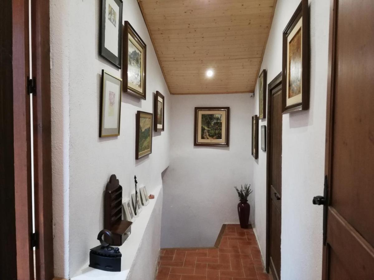 Cal Bove Apartment Sant Guim de Freixenet Bagian luar foto